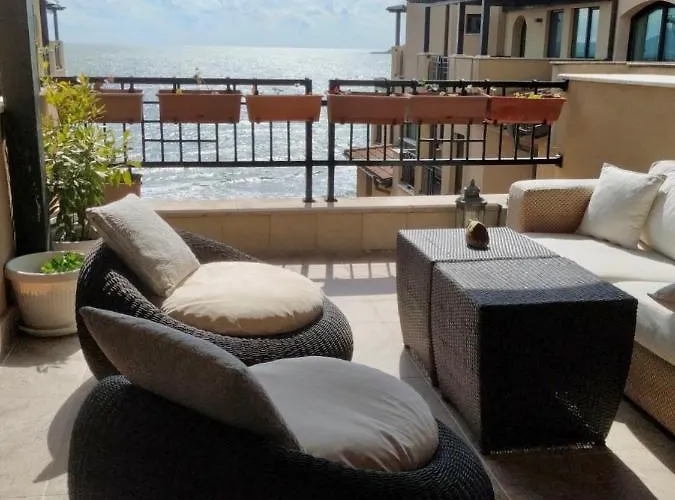 Oazis Vip Club Sunny Beach