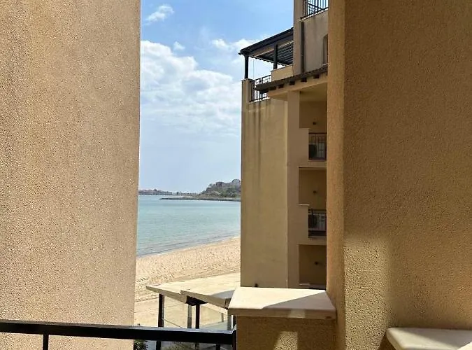 Oazis Vip Club Sunny Beach